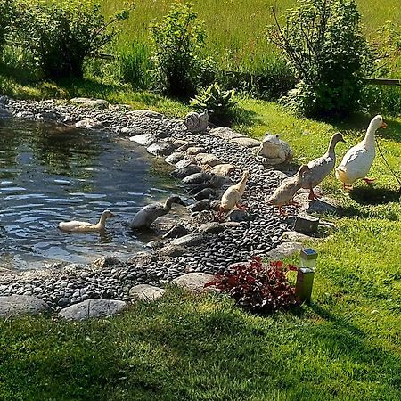 Hauseggerhof Villa Langenfeld Luaran gambar