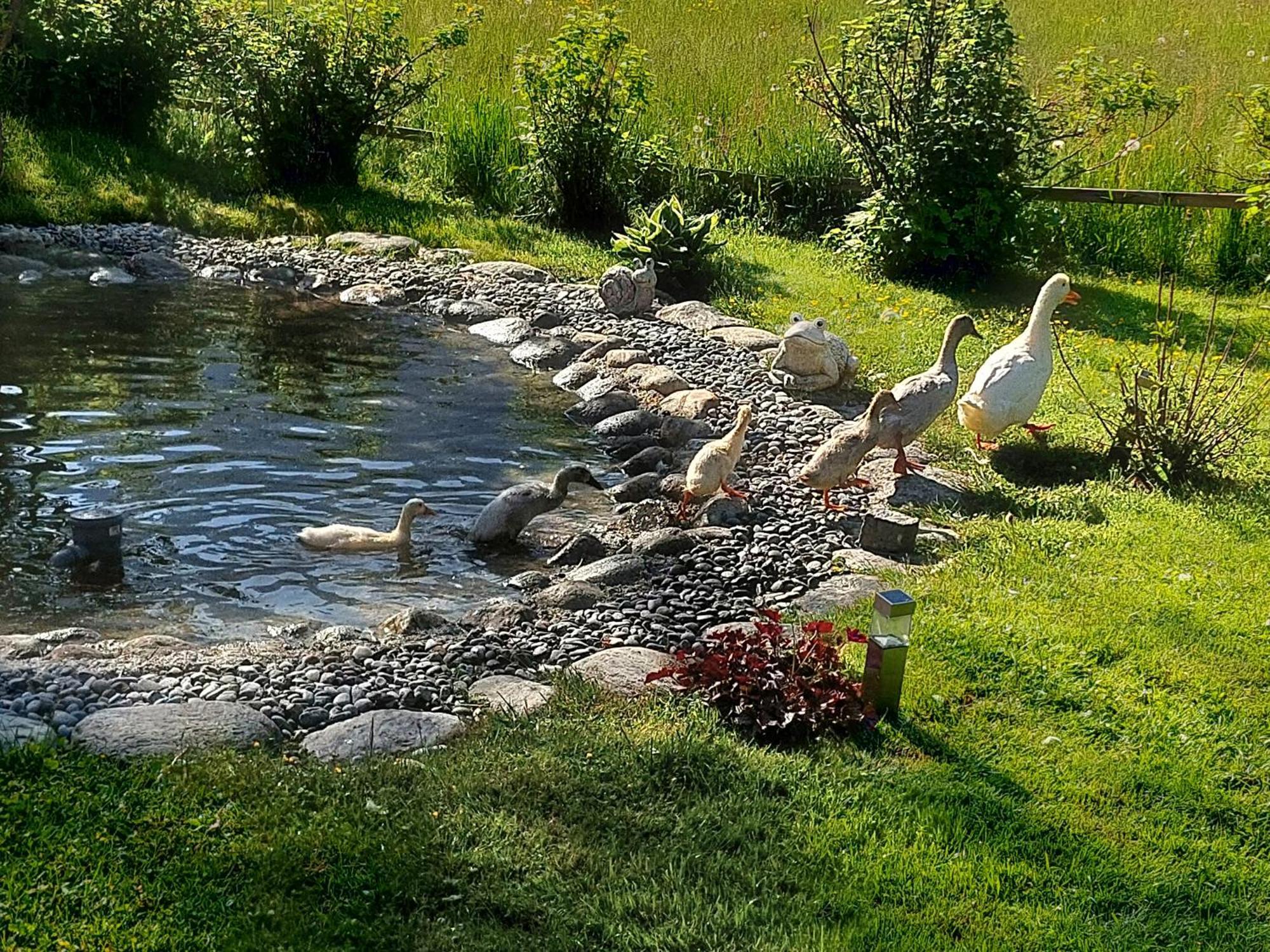Hauseggerhof Villa Langenfeld Luaran gambar