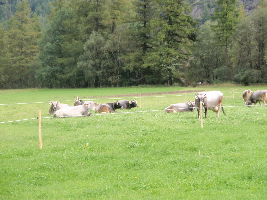 Hauseggerhof Villa Langenfeld Luaran gambar